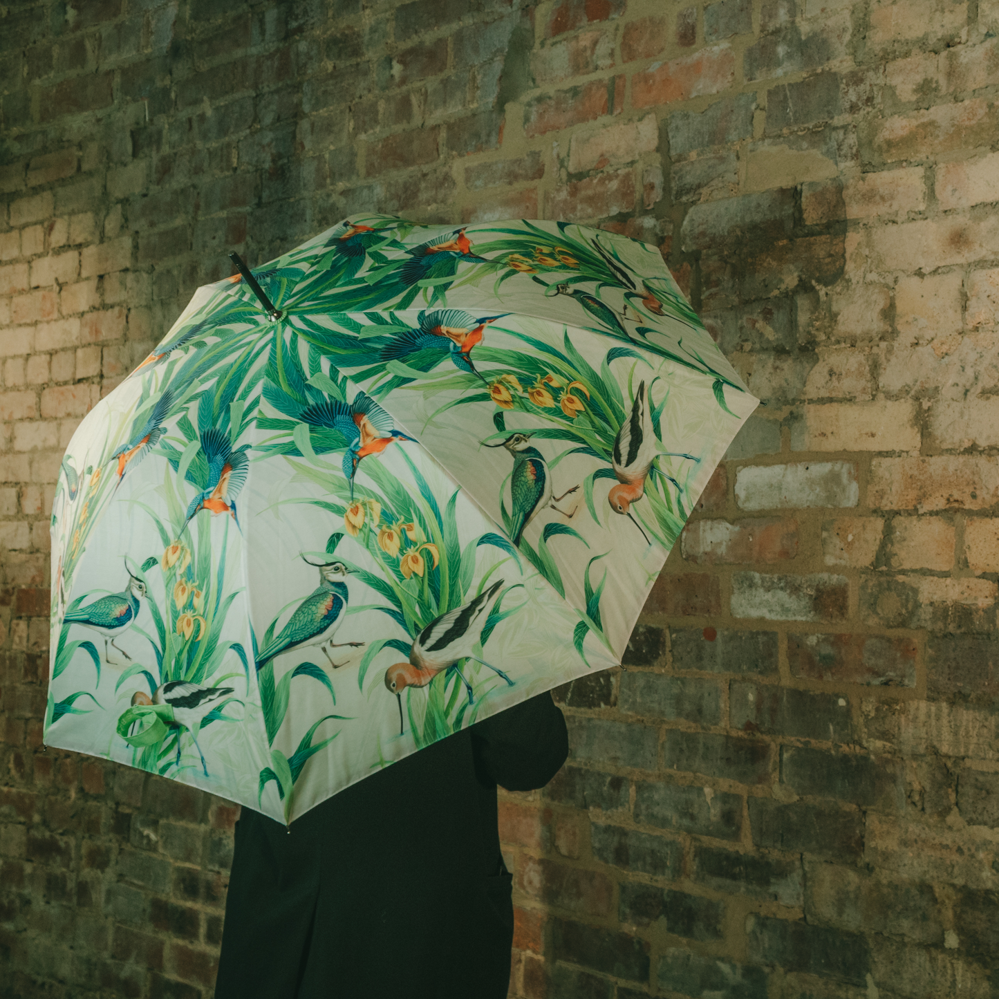 HALCYON Osborne & Little Umbrella