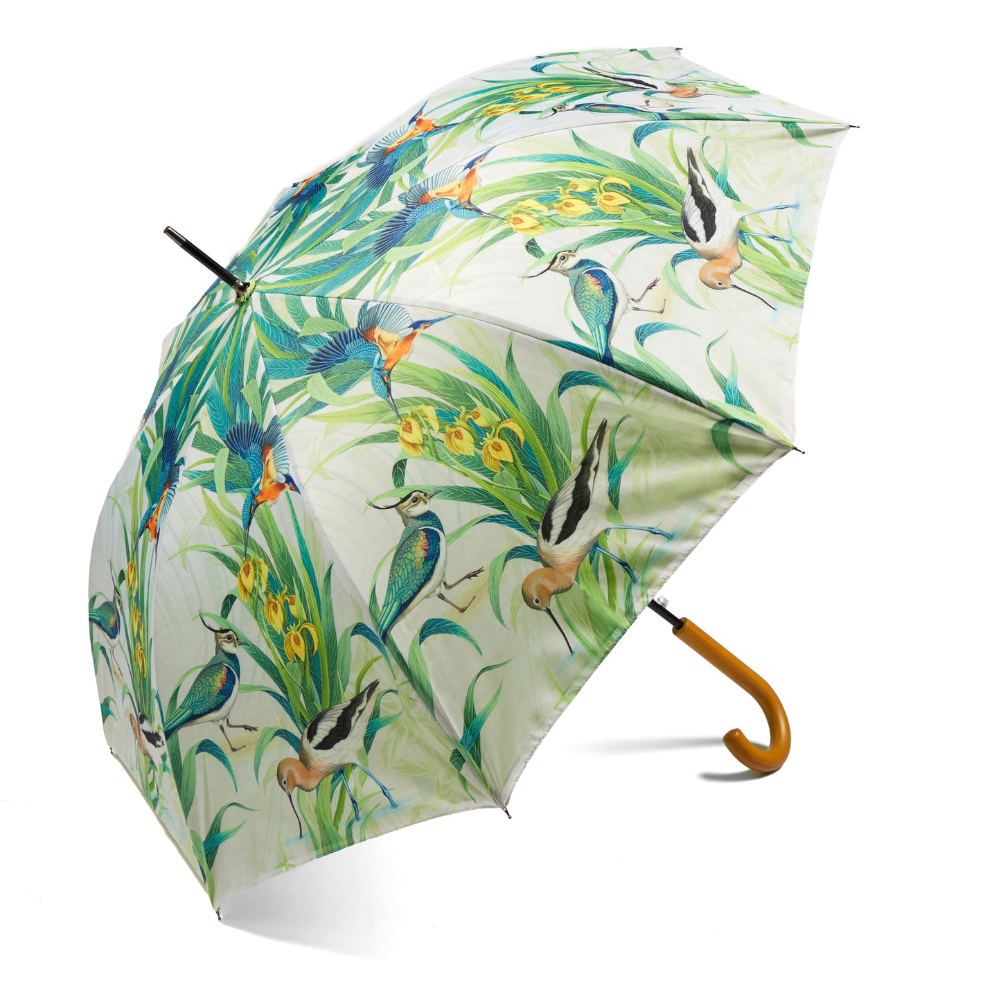 Osborne & Little Umbrella