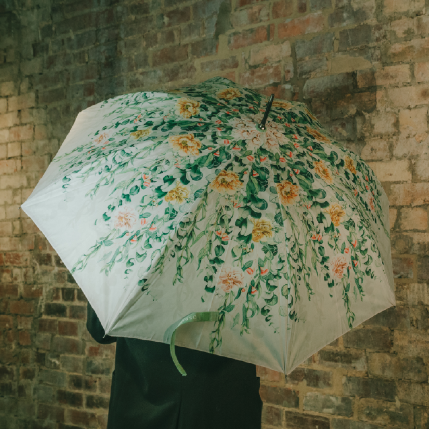 Osborne & Little Umbrella